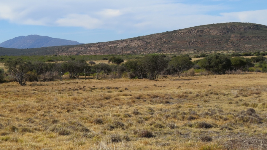 Commercial Property for Sale in Ladismith Rural Western Cape